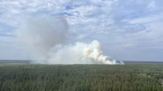 Ещё один ландшафтный пожар вспыхнул в Воронеже