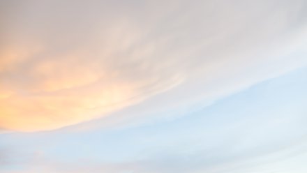 Точное число сбитых в Воронежской области беспилотников назвали в Минобороны