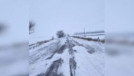 Разрушенный участок дороги в воронежском селе пообещали восстановить в 2024 году