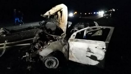 Водитель ответит за смерть воронежской семьи в ДТП с пожаром