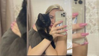 В Воронеже ветклиника отказала хозяйке умершего кота в компенсации морального вреда