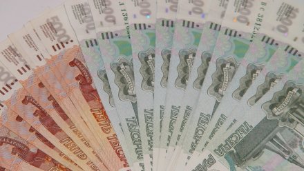 Заработная плата воронежцев выросла на 3% в 2022 году 