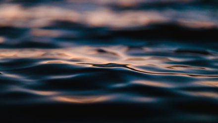 Жители ольховатского посёлка сообщили о затоплении детсада и школы из-за прорыва дамбы