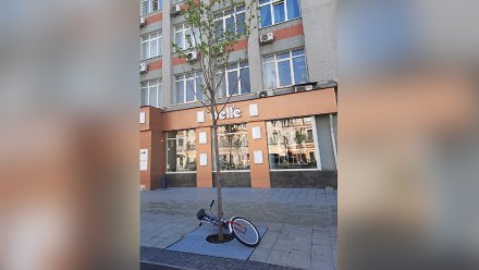 Воронежские экологи раскритиковали горожан за парковку самокатов возле деревьев