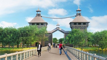 Строительство исторического парка на Петровском острове в Воронеже перенесли на 2022 год 