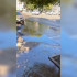 «Вода льёт до сих пор». Воронежцы пожаловались на коммунальное ЧП в центре города