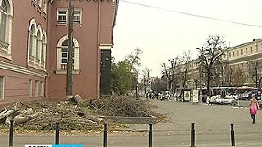Уже в этом году здание Мариинской гимназии ждёт глобальное обновление