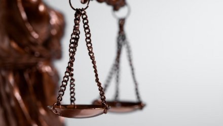 Замешанные в коррупции на 5 млн воронежские адвокаты предстанут перед судом