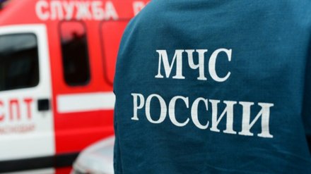 В Воронеже ночью вспыхнули две иномарки