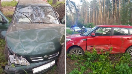 Мать с 3-летним сыном пострадала в ДТП на трассе в Воронежской области