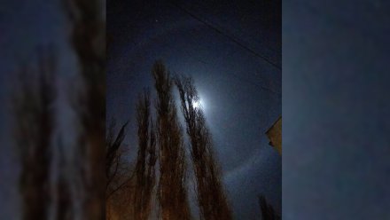 В небе над Воронежем заметили лунное гало