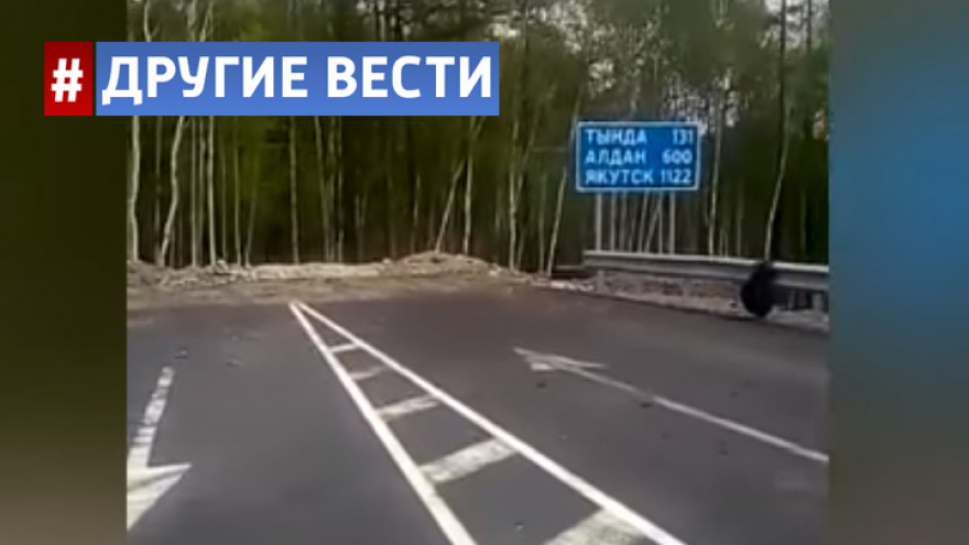 Идеально отремонтированная дорога «в никуда» появилась в Амурской области