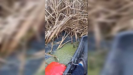 Появились результаты проб воды после жалоб эртильцев на слив стоков в реку