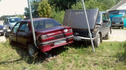 В ДТП в Воронежской области пострадала 2-летняя малышка и пенсионерка