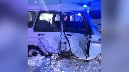 Шесть пассажиров автобуса пострадали в ДТП под Воронежем