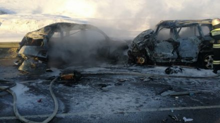 В ДТП с 8 сгоревшими мужчинами на трассе под Воронежем обвинили мертвеца