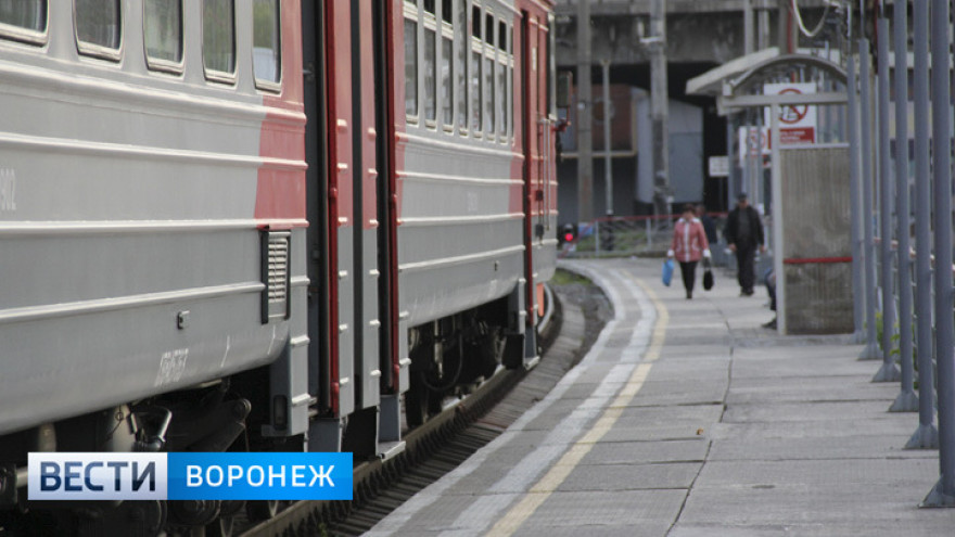 На ноябрьские праздники из Воронежа в Москву пустят дополнительный поезд