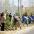 Более 111 тыс. воронежцев приняли участи в общеобластном субботнике