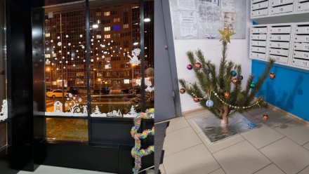 Воронежцы показали на фото украшенные к Новому году подъезды