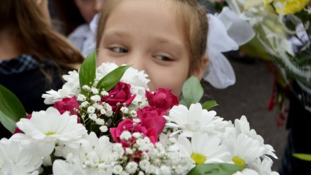 Воронежцам предложили 1 сентября отказаться от букетов и помочь детям с онкологией