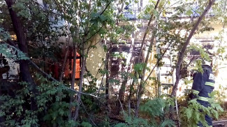 Больницу и зоопарк в Воронеже заволокло дымом из-за полыхающего рядом дома