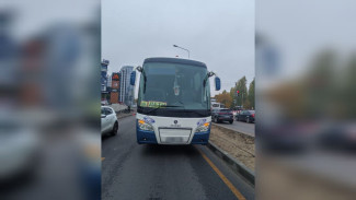 Труп сбитого автобусом велосипедиста нашли на улице Остужева в Воронеже