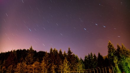В районе Воронежской области ночью сбили украинский беспилотник