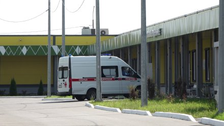 Десять больных сибирской язвой в Воронежской области пошли на поправку
