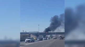 В Воронеже «Газель» загорелась на мосту у ТЦ «Твой Дом»