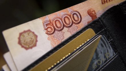 Воронежские семьи получили ещё по 10 тысяч рублей «детских» выплат
