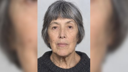 Волонтёры начали поиски пропавшей в воронежском селе пенсионерки 