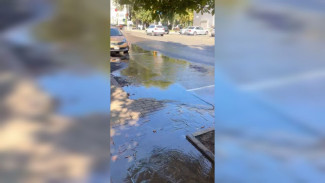 «Вода льёт до сих пор». Воронежцы пожаловались на коммунальное ЧП в центре города