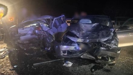 BMW устроила аварию с двумя авто на воронежской трассе: пострадали дети