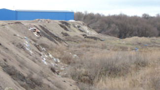 Ущерб из-за крупной свалки у воронежского сахарного завода оценили в 4,2 млн