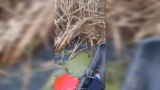 Жители Эртиля сообщили о сливе зловонных стоков в реку