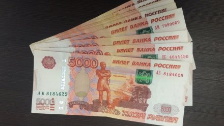 Парень из Белгорода украл у воронежской пенсионерки отложенные на лечение 100 тысяч