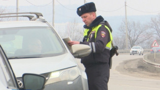 Воронежцам назвали график работы ГАИ в новогодние праздники