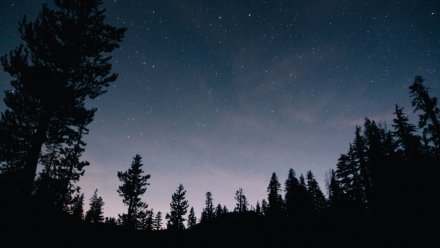 В Воронежской области за ночь уничтожили 4 дрона ВСУ