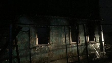 В Воронежской области отправили на принудительное лечение мать, бросившую на пожаре сына