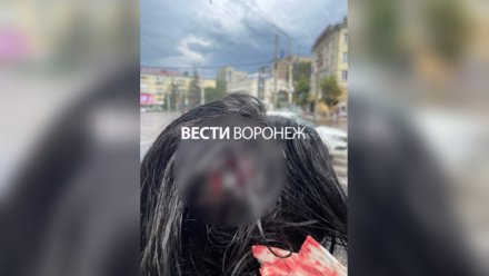 В центре Воронежа на девушку обрушился кусок фасада 5-этажки