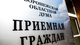В 2022 году депутаты Воронежской областной думы рассмотрели более 5,6 тыс. обращений 