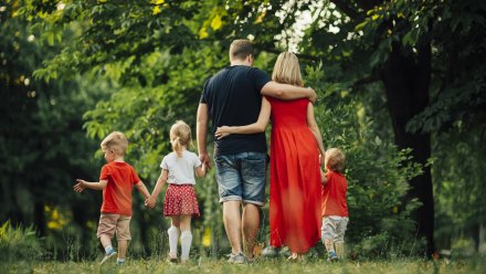 Владимир Путин удостоил наград пять многодетных семей из Воронежской области