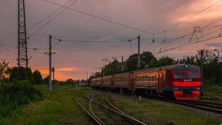 В Воронежской области запустят дачные электрички 