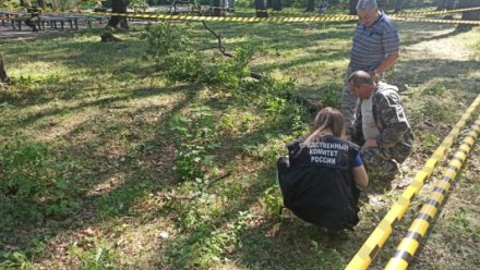 Следком возбудил дело после ЧП с упавшей на подростка веткой в лагере под Воронежем