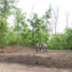 В Воронежской Нагорной дубраве уничтожили археологический памятник