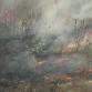 В Воронежской области начался сезон ландшафтных пожаров