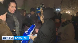 Воронежцы устроили давку за бесплатные пакеты от ЛДПР