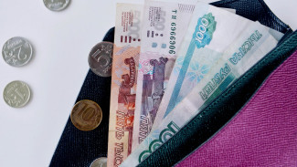 Средняя зарплата в Воронежской области превысила 36,5 тыс. рублей