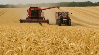 Воронежские предприятия «Продимекса» завершили уборку зерновых