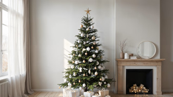 Воронеж вошёл в топ-10 городов России с самыми высокими новогодними ёлками